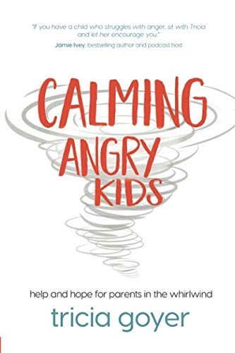 Cover for Calming Angry Kids