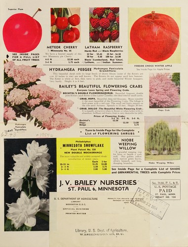 Cover for J.V. Bailey Nurseries