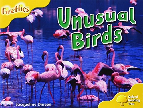 Cover for Unusual Birds