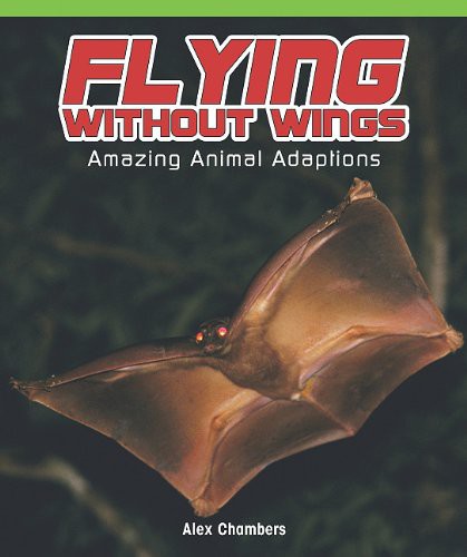 Cover for Flying Without Wings