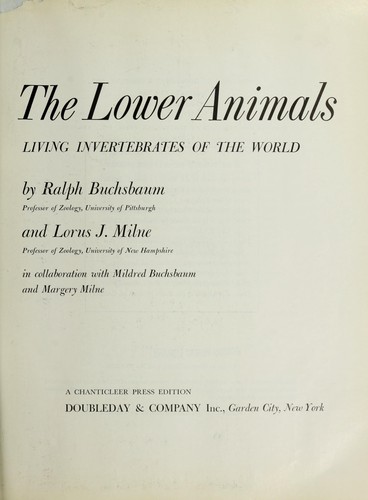 Cover for The lower animals; living invertebrates of the world