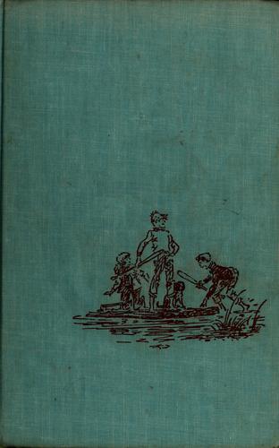 Cover for The secret raft