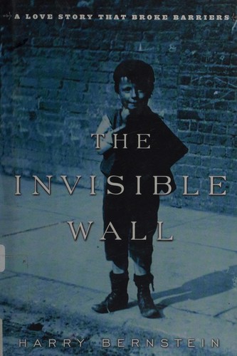 Cover for The invisible wall