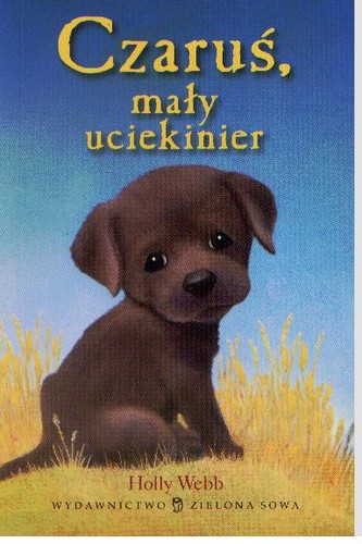 Cover for Czaruś, mały uciekinier. Bestsellerowa seria