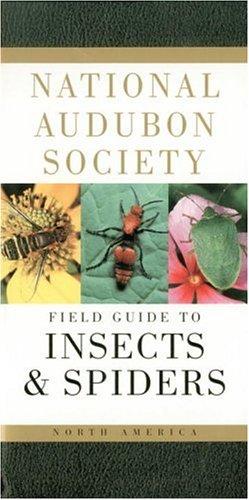 Cover for National Audubon Society Field Guide to North American Insects and Spiders (Audubon Society Field Guide)