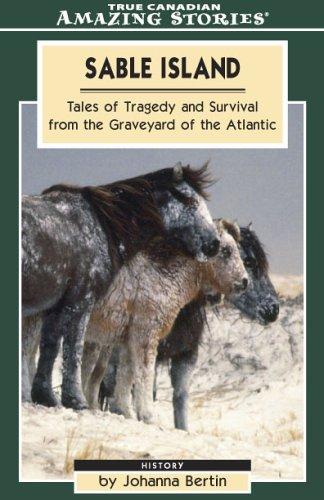 Cover for Tales from Sable Island