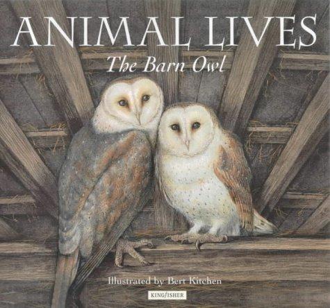 Cover for Barn Owl (Animal Lives)