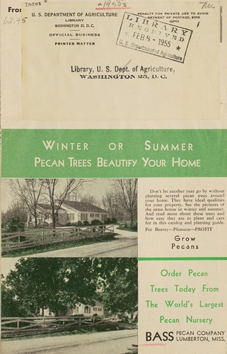 Cover for Winter or summer, pecan trees beautify your home