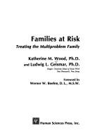 Cover for Families at risk
