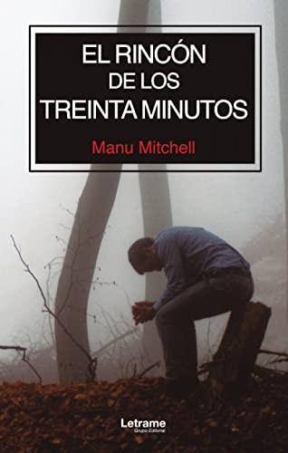Cover for El rincón de los treinta minutos