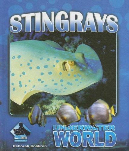 Cover for Stingrays (Underwater World)