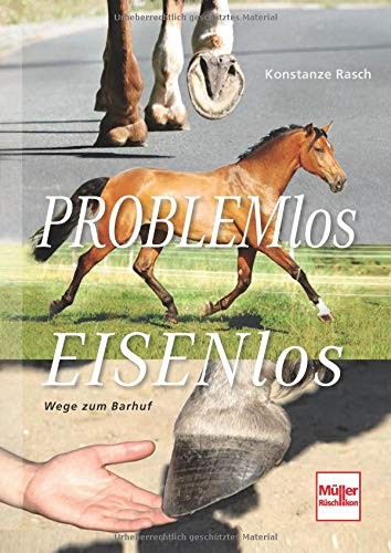 Cover for Problemlos Eisenlos