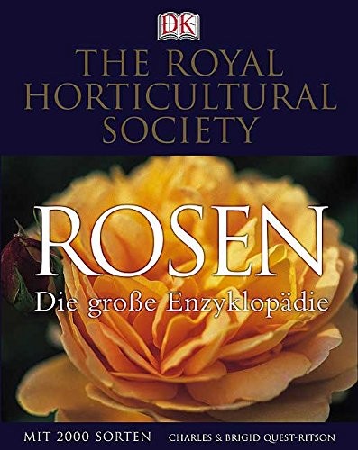 Cover for Rosen