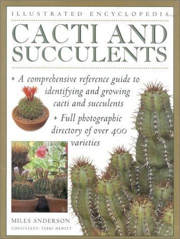 Cover for Cacti and Succulents (Illustrated Encyclopedias)