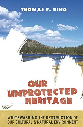 Cover for Our unprotected heritage