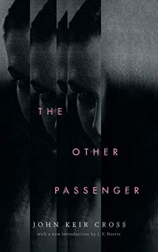 Cover for The Other Passenger