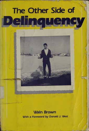 Cover for The other side of delinquency