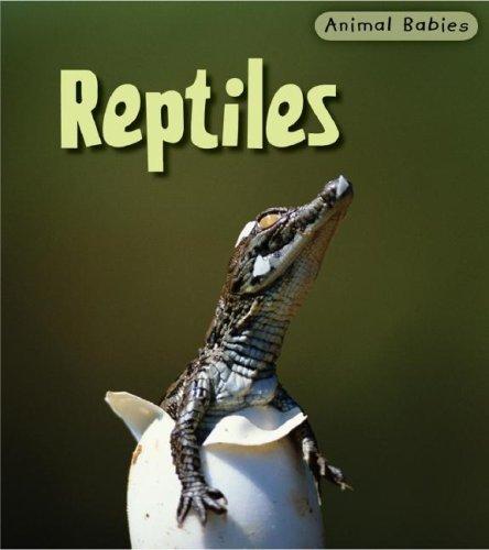 Cover for Reptiles (Animal Babies)