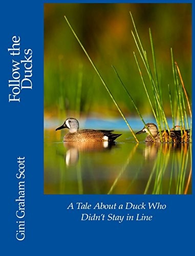 Cover for Follow the Ducks