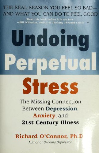 Cover for Undoing Perpetual Stress