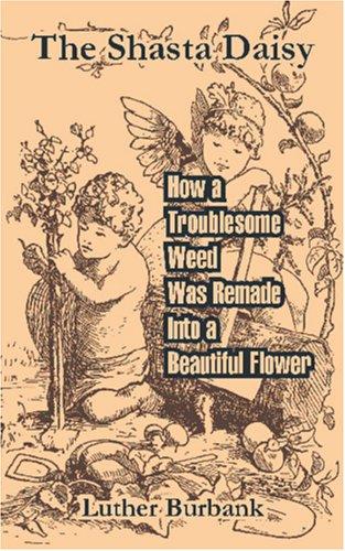 Cover for The Shasta Daisy
