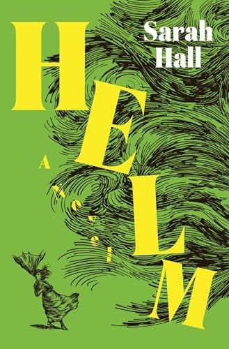 Cover for Helm