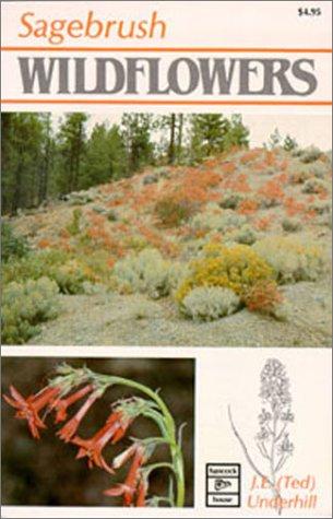 Cover for Sagebrush Wildflowers