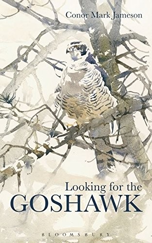 Cover for Looking for the Goshawk