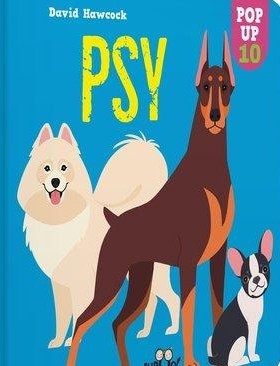 Cover for Psy