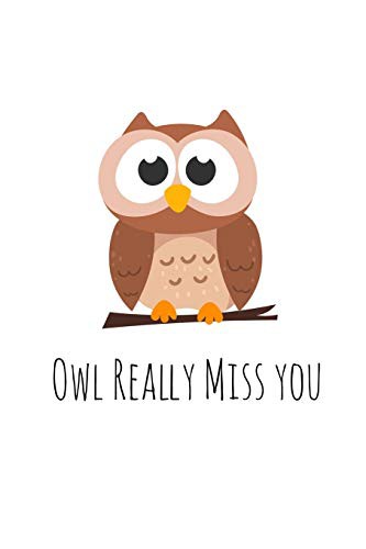 Cover for Owl Really Miss you