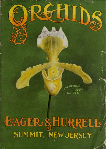 Cover for Orchids