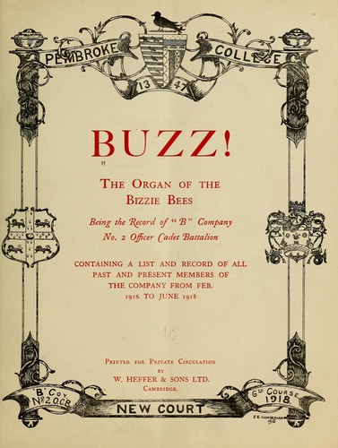 Cover for Buzz!