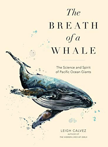 Cover for The Breath of a Whale