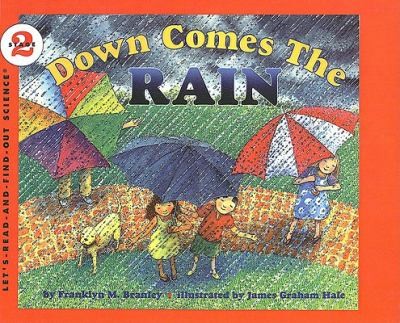 Cover for Down Comes the Rain
            
                LetsReadAndFindOut Science Stage 2 Turtleback