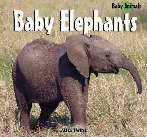 Cover for Baby Elephants
