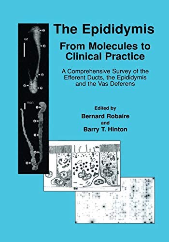 Cover for The Epididymis