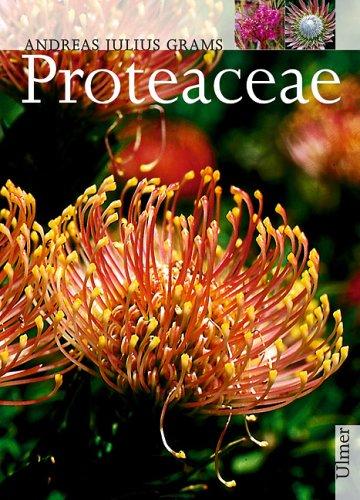 Cover for Proteaceae.