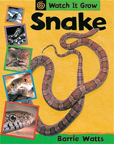 Cover for Snake (Watch It Grow)