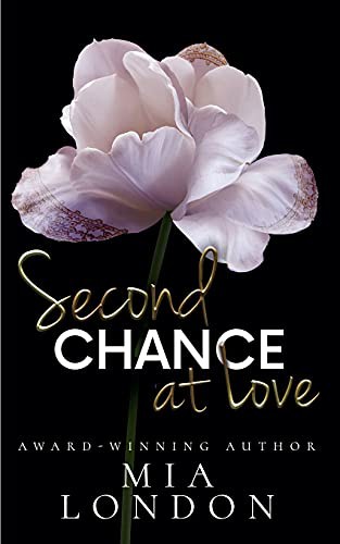Cover for Second Chance At Love