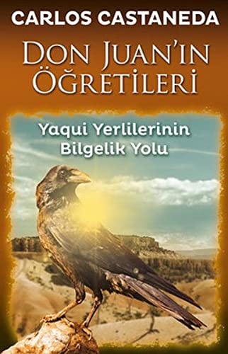 Cover for Don Juan'in Ogretileri