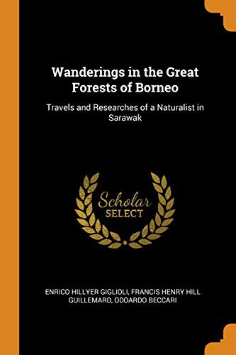 Cover for Wanderings in the Great Forests of Borneo