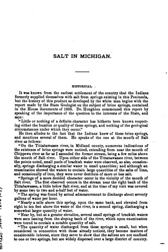 Cover for Statistics Relating to the Saline Interests of Michigan