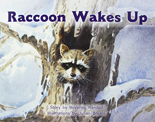 Cover for Raccoon Wakes Up