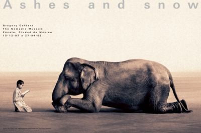 Cover for Boy Reading to Elephant Mexico City Exhibition Standard Poster
            
                Ashes and Snow Posters