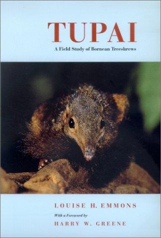 Cover for Tupai