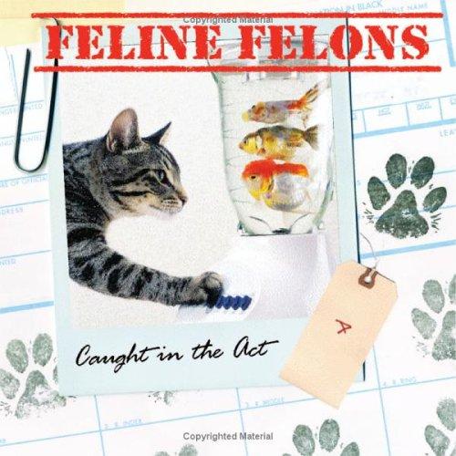 Cover for Feline Felons