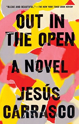 Cover for Out in the Open: A Novel