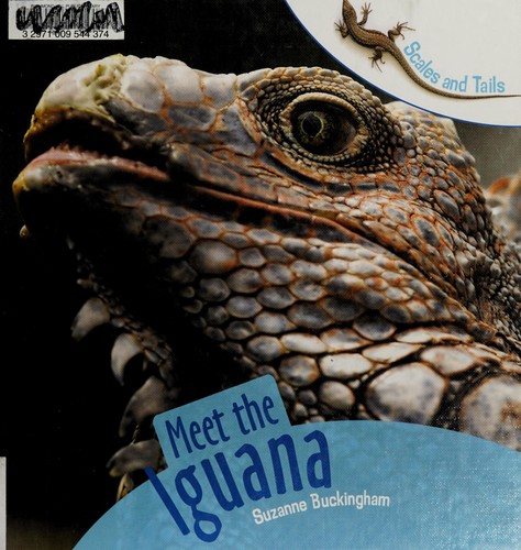 Cover for Meet the iguana
