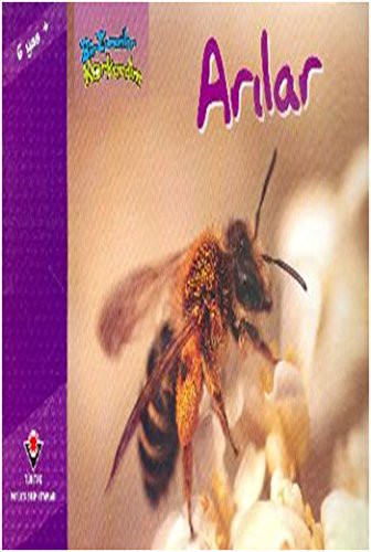 Cover for Bir Zamanlar Korkardim - Arilar