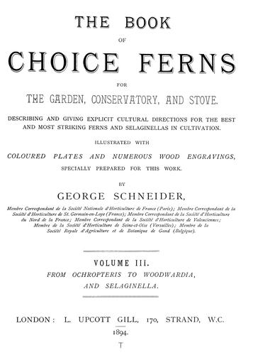 Cover for The book of choice ferns